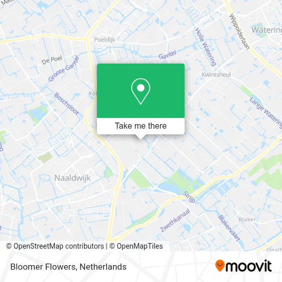 Bloomer Flowers map