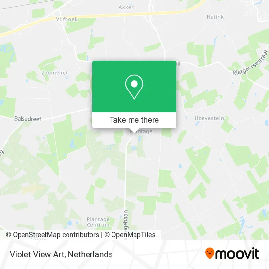 Violet View Art map