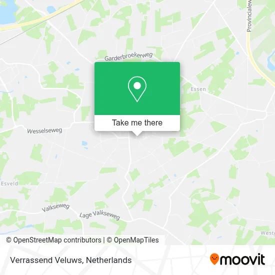 Verrassend Veluws map