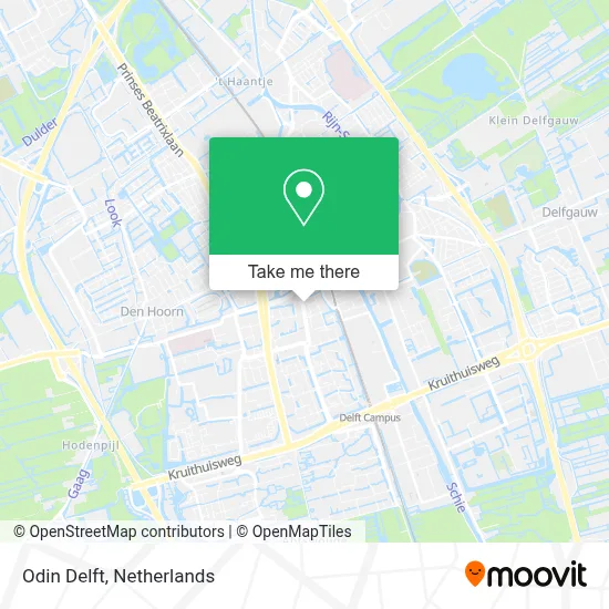 Odin Delft map