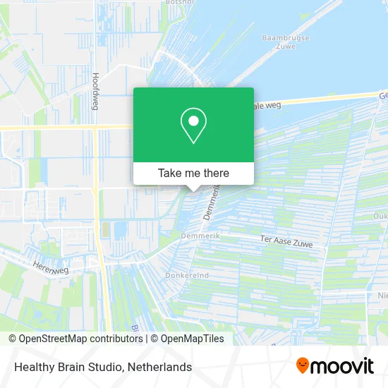 Healthy Brain Studio map