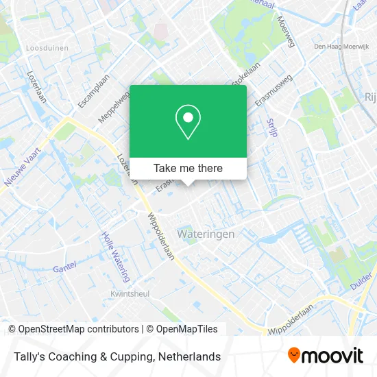 Tally's Coaching & Cupping map