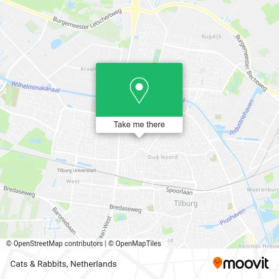 Cats & Rabbits map