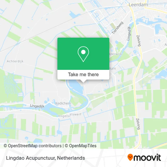 Lingdao Acupunctuur map