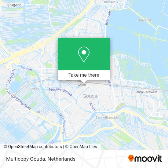 Multicopy Gouda map