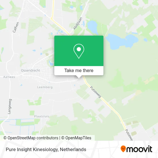 Pure Insight Kinesiology map