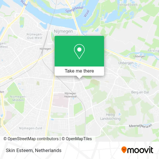 Skin Esteem map