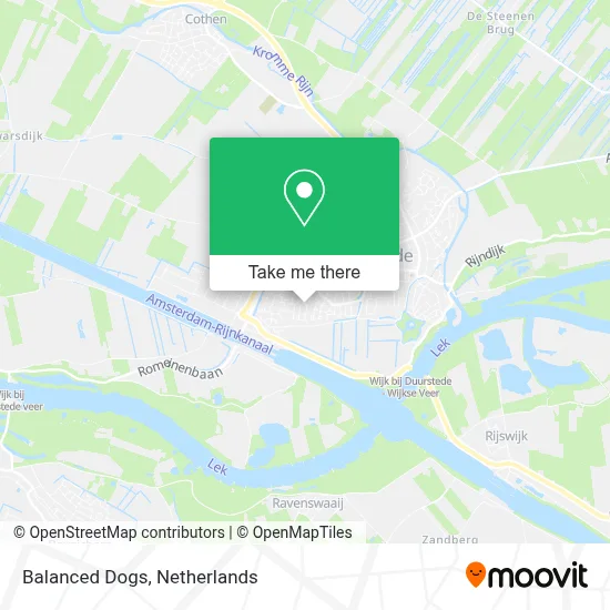 Balanced Dogs Karte