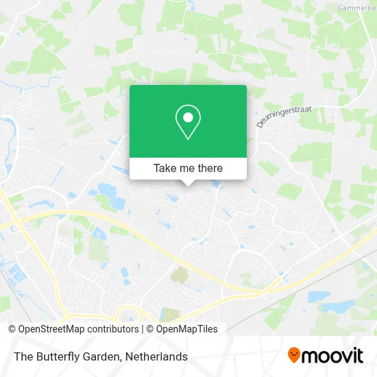 De Vlindertuin Karte