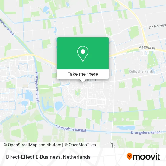 Direct-Effect E-Business map