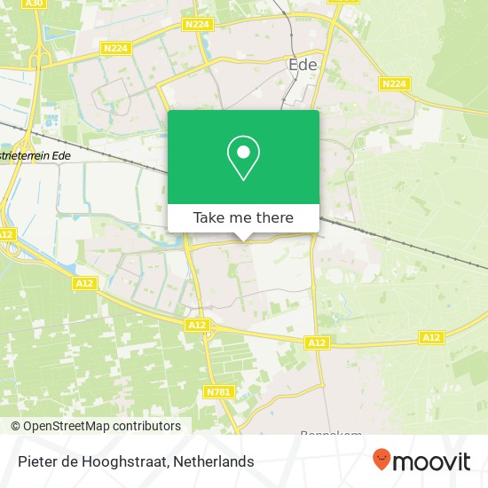 Pieter de Hooghstraat Karte
