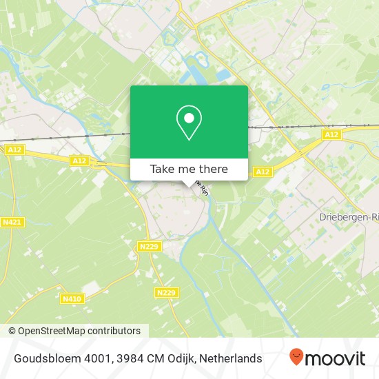 Goudsbloem 4001, 3984 CM Odijk map