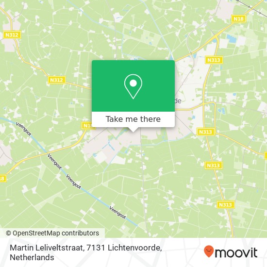 Martin Leliveltstraat, 7131 Lichtenvoorde map