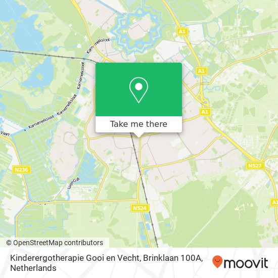 Kinderergotherapie Gooi en Vecht, Brinklaan 100A map