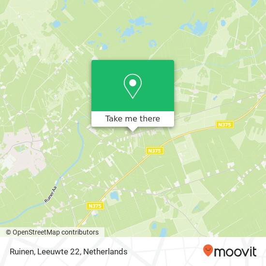 Ruinen, Leeuwte 22 Karte