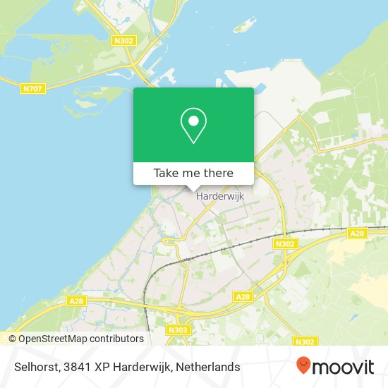 Selhorst, 3841 XP Harderwijk Karte