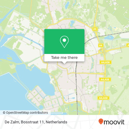 De Zalm, Bosstraat 11 map