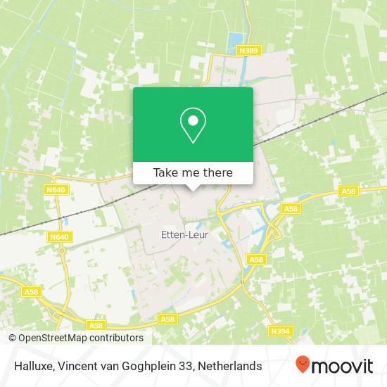 Halluxe, Vincent van Goghplein 33 map