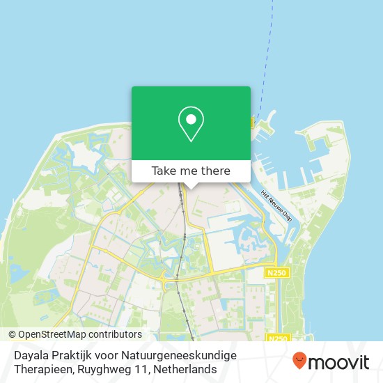 Dayala Praktijk voor Natuurgeneeskundige Therapieen, Ruyghweg 11 map