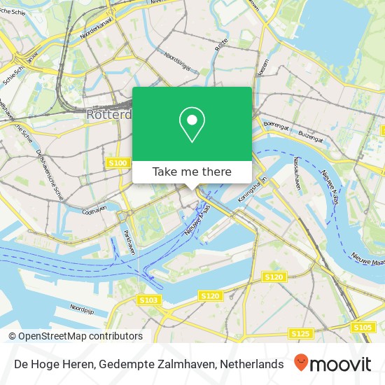 De Hoge Heren, Gedempte Zalmhaven map