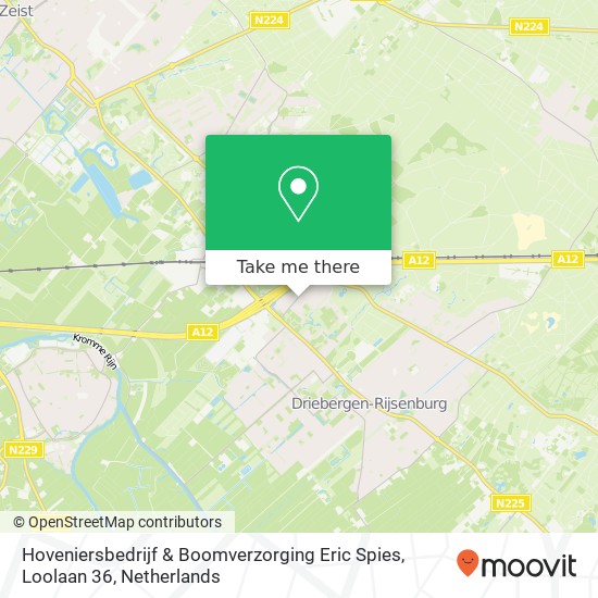 Hoveniersbedrijf & Boomverzorging Eric Spies, Loolaan 36 map