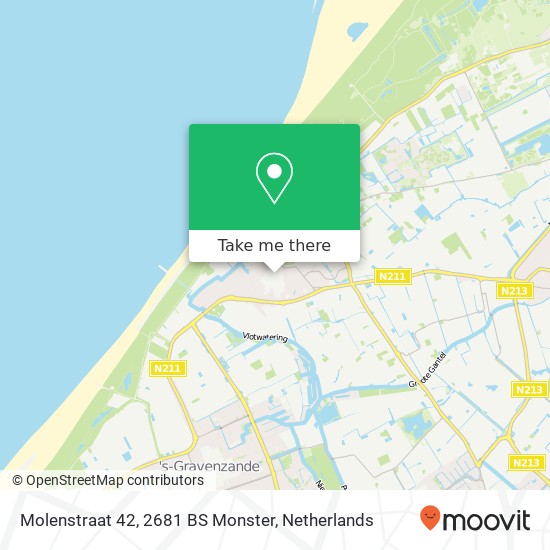 Molenstraat 42, 2681 BS Monster map