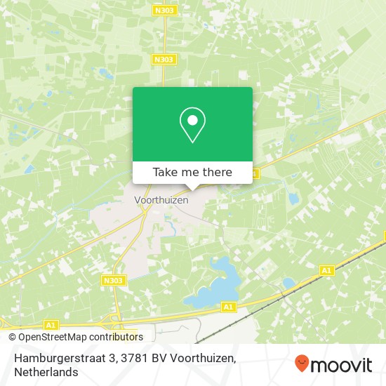 Hamburgerstraat 3, 3781 BV Voorthuizen map