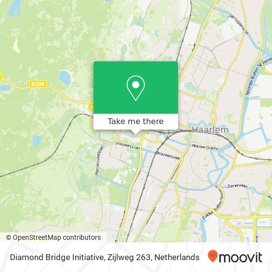 Diamond Bridge Initiative, Zijlweg 263 map