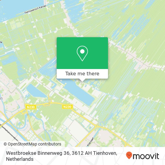 Westbroekse Binnenweg 36, 3612 AH Tienhoven Karte