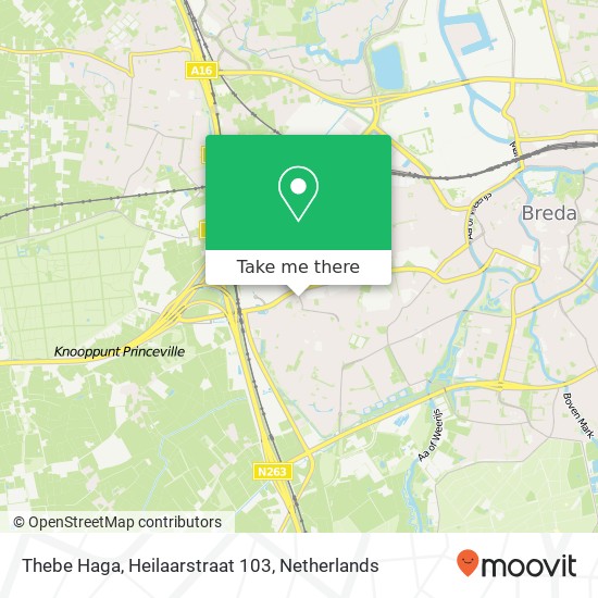 Thebe Haga, Heilaarstraat 103 map