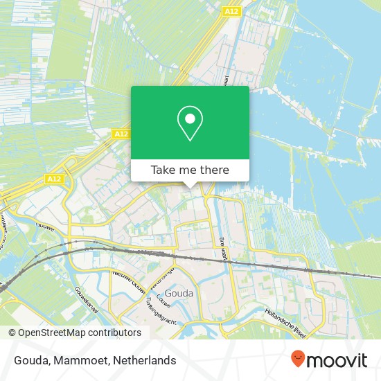 Gouda, Mammoet map