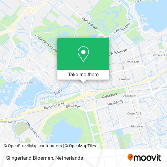 kleermaker wortel moe How to get to Slingerland Bloemen in Rotterdam by Bus, Metro, Train or  Light Rail?