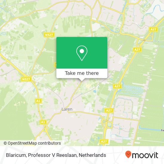 Blaricum, Professor V Reeslaan map