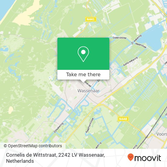 Cornelis de Wittstraat, 2242 LV Wassenaar map