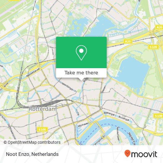 Noot Enzo, Zwaanshals map