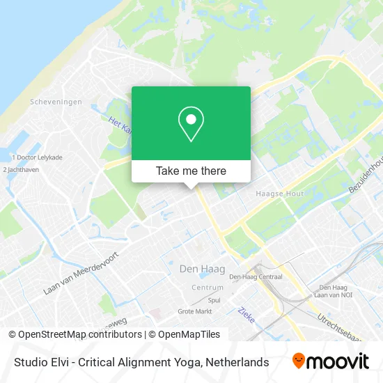 Studio Elvi - Critical Alignment Yoga map