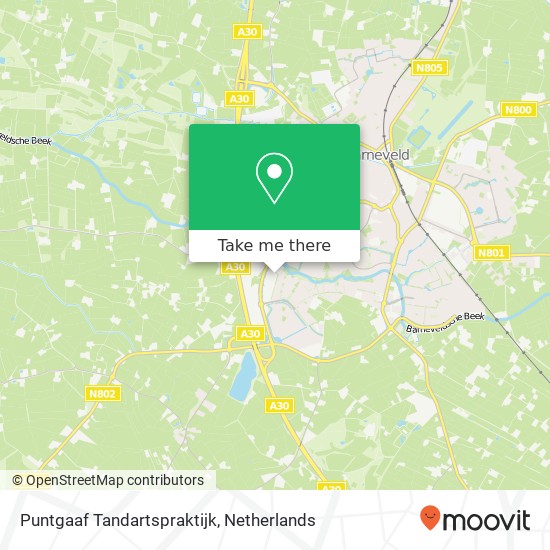 Puntgaaf Tandartspraktijk, Parmentierstraat 5 map