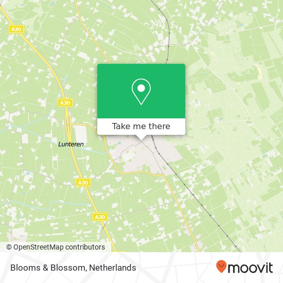 Blooms & Blossom, Dorpsstraat 59 map