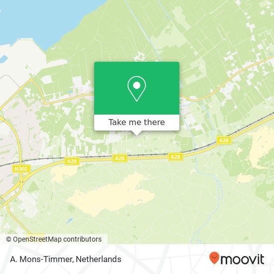 A. Mons-Timmer map