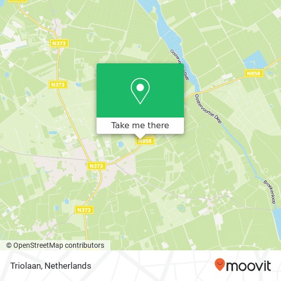 Triolaan, Triolaan, 9331 Norg, Nederland map