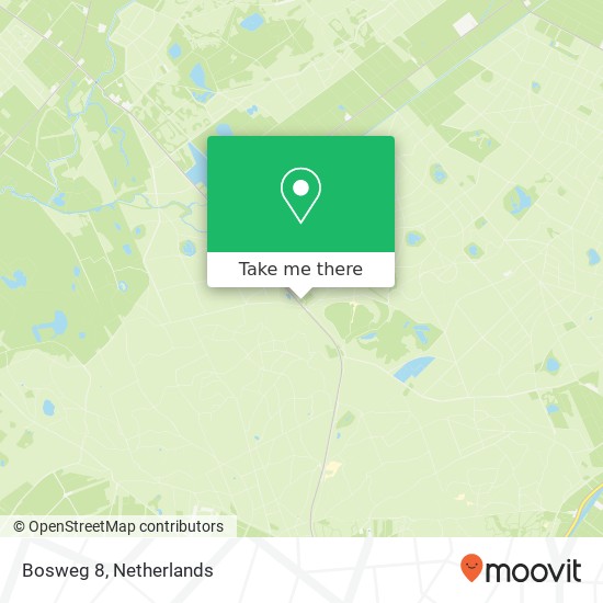 Bosweg 8, 8439 SN Oude Willem map