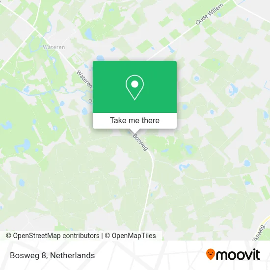 Bosweg 8, 8439 SN Oude Willem map