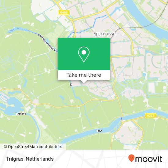 Trilgras, Trilgras, 3206 Spijkenisse, Nederland map