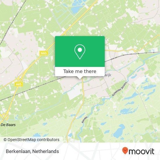 Berkenlaan, Berkenlaan, 5061 Oisterwijk, Nederland map