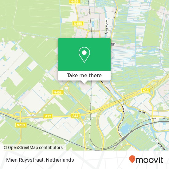 Mien Ruysstraat map