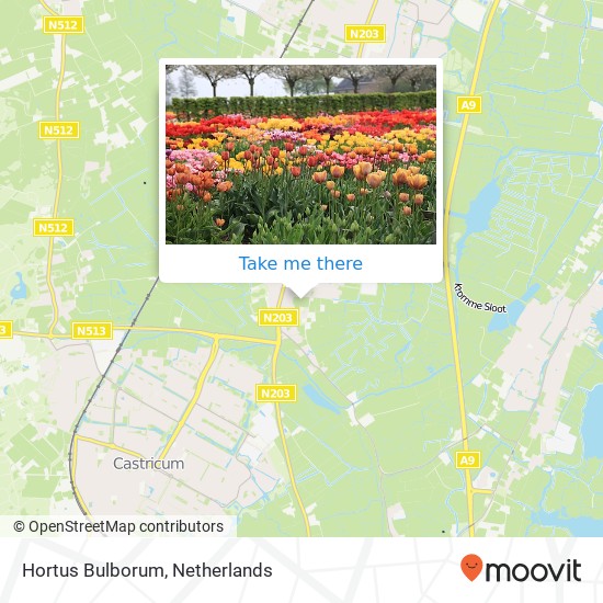 Hortus Bulborum map