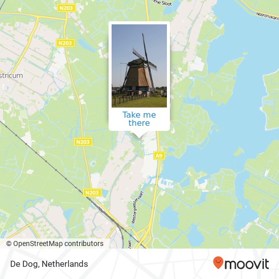 De Dog map