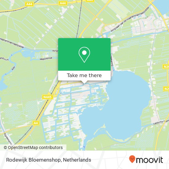 Rodewijk Bloemenshop map