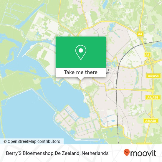 Berry’S Bloemenshop De Zeeland map