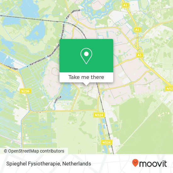 Spieghel Fysiotherapie, Iepenlaan 354 map